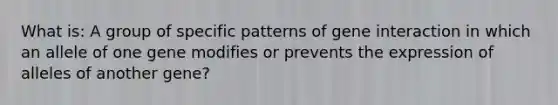 What is: A group of specific patterns of gene interaction in which an allele of one gene modifies or prevents the expression of alleles of another gene?