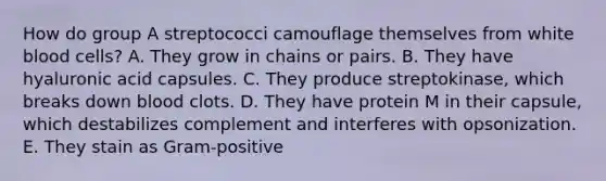 How do group A streptococci camouflage themselves from white blood cells? A. They grow in chains or pairs. B. They have hyaluronic acid capsules. C. They produce streptokinase, which breaks down blood clots. D. They have protein M in their capsule, which destabilizes complement and interferes with opsonization. E. They stain as Gram-positive