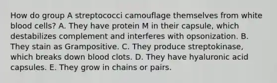 How do group A streptococci camouflage themselves from white blood cells? A. They have protein M in their capsule, which destabilizes complement and interferes with opsonization. B. They stain as Grampositive. C. They produce streptokinase, which breaks down blood clots. D. They have hyaluronic acid capsules. E. They grow in chains or pairs.