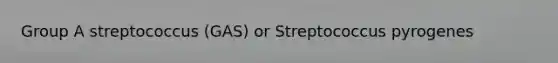 Group A streptococcus (GAS) or Streptococcus pyrogenes