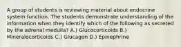 A group of students is reviewing material about endocrine system function. The students demonstrate understanding of the information when they identify which of the following as secreted by the adrenal medulla? A.) Glucocorticoids B.) Mineralocorticoids C.) Glucagon D.) Epinephrine