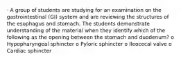 · A group of students are studying for an examination on the gastrointestinal (GI) system and are reviewing the structures of the esophagus and stomach. The students demonstrate understanding of the material when they identify which of the following as the opening between the stomach and duodenum? o Hypopharyngeal sphincter o Pyloric sphincter o Ileocecal valve o Cardiac sphincter