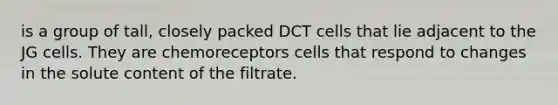 is a group of tall, closely packed DCT cells that lie adjacent to the JG cells. They are chemoreceptors cells that respond to changes in the solute content of the filtrate.