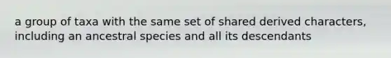a group of taxa with the same set of shared derived characters, including an ancestral species and all its descendants
