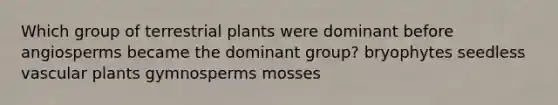 Which group of terrestrial plants were dominant before angiosperms became the dominant group? bryophytes seedless vascular plants gymnosperms mosses