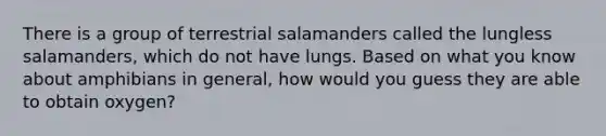 There is a group of terrestrial salamanders called the lungless salamanders, which do not have lungs. Based on what you know about amphibians in general, how would you guess they are able to obtain oxygen?