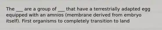 The ___ are a group of ___ that have a terrestrially adapted egg equipped with an amnios (membrane derived from embryo itself). First organisms to completely transition to land