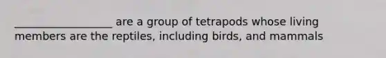 __________________ are a group of tetrapods whose living members are the reptiles, including birds, and mammals