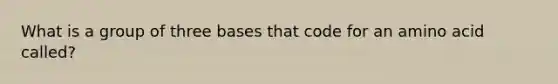 What is a group of three bases that code for an amino acid called?