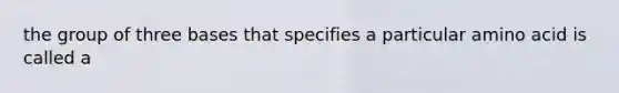 the group of three bases that specifies a particular amino acid is called a