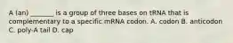 A (an) _______ is a group of three bases on tRNA that is complementary to a specific mRNA codon. A. codon B. anticodon C. poly-A tail D. cap