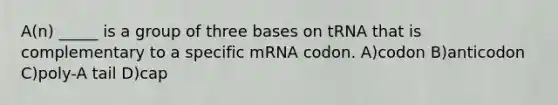 A(n) _____ is a group of three bases on tRNA that is complementary to a specific mRNA codon. A)codon B)anticodon C)poly-A tail D)cap