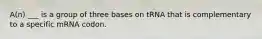 A(n) ___ is a group of three bases on tRNA that is complementary to a specific mRNA codon.
