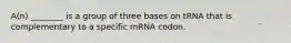 A(n) ________ is a group of three bases on tRNA that is complementary to a specific mRNA codon.