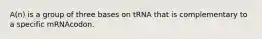 A(n) is a group of three bases on tRNA that is complementary to a specific mRNAcodon.