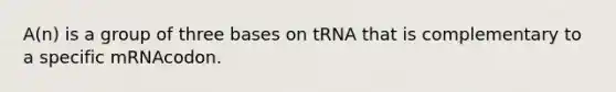 A(n) is a group of three bases on tRNA that is complementary to a specific mRNAcodon.