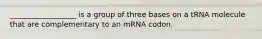 __________________ is a group of three bases on a tRNA molecule that are complementary to an mRNA codon.