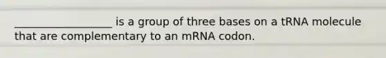 __________________ is a group of three bases on a tRNA molecule that are complementary to an mRNA codon.