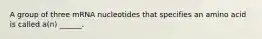 A group of three mRNA nucleotides that specifies an amino acid is called a(n) ______.