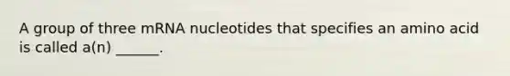 A group of three mRNA nucleotides that specifies an amino acid is called a(n) ______.