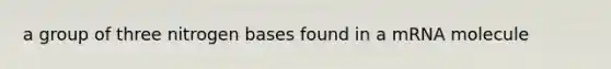 a group of three nitrogen bases found in a mRNA molecule