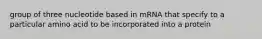 group of three nucleotide based in mRNA that specify to a particular amino acid to be incorporated into a protein