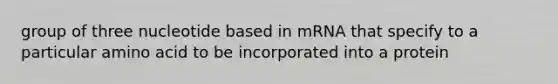 group of three nucleotide based in mRNA that specify to a particular amino acid to be incorporated into a protein