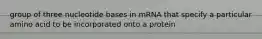 group of three nucleotide bases in mRNA that specify a particular amino acid to be incorporated onto a protein