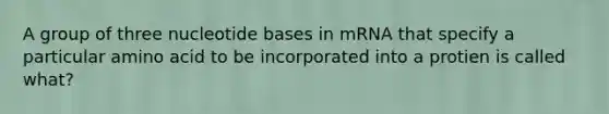 A group of three nucleotide bases in mRNA that specify a particular amino acid to be incorporated into a protien is called what?