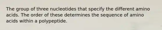 The group of three nucleotides that specify the different amino acids. The order of these determines the sequence of amino acids within a polypeptide.