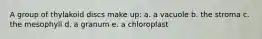 A group of thylakoid discs make up: a. a vacuole b. the stroma c. the mesophyll d. a granum e. a chloroplast