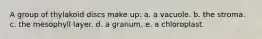 A group of thylakoid discs make up: a. a vacuole. b. the stroma. c. the mesophyll layer. d. a granum. e. a chloroplast.