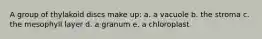 A group of thylakoid discs make up: a. a vacuole b. the stroma c. the mesophyll layer d. a granum e. a chloroplast