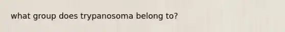 what group does trypanosoma belong to?