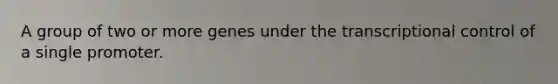 A group of two or more genes under the transcriptional control of a single promoter.