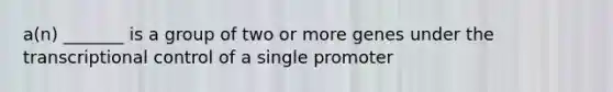 a(n) _______ is a group of two or more genes under the transcriptional control of a single promoter