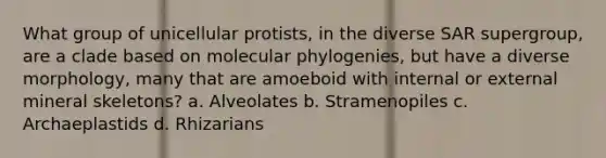 What group of unicellular protists, in the diverse SAR supergroup, are a clade based on molecular phylogenies, but have a diverse morphology, many that are amoeboid with internal or external mineral skeletons? a. Alveolates b. Stramenopiles c. Archaeplastids d. Rhizarians