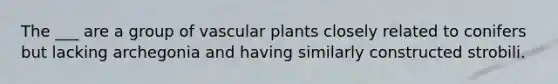 The ___ are a group of vascular plants closely related to conifers but lacking archegonia and having similarly constructed strobili.