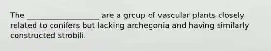 The ___________________ are a group of <a href='https://www.questionai.com/knowledge/kbaUXKuBoK-vascular-plants' class='anchor-knowledge'>vascular plants</a> closely related to conifers but lacking archegonia and having similarly constructed strobili.