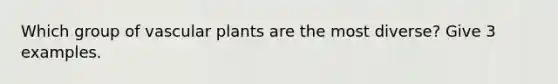 Which group of vascular plants are the most diverse? Give 3 examples.