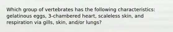 Which group of vertebrates has the following characteristics: gelatinous eggs, 3-chambered heart, scaleless skin, and respiration via gills, skin, and/or lungs?