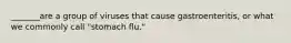 _______are a group of viruses that cause gastroenteritis, or what we commonly call "stomach flu."