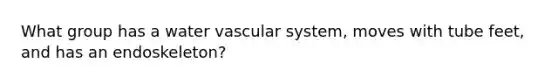 What group has a water vascular system, moves with tube feet, and has an endoskeleton?