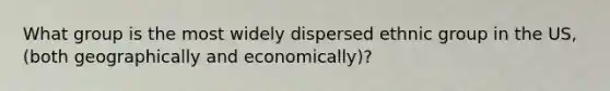 What group is the most widely dispersed ethnic group in the US, (both geographically and economically)?