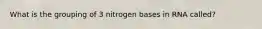 What is the grouping of 3 nitrogen bases in RNA called?