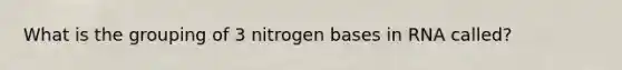 What is the grouping of 3 nitrogen bases in RNA called?