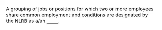 A grouping of jobs or positions for which two or more employees share common employment and conditions are designated by the NLRB as a/an _____.