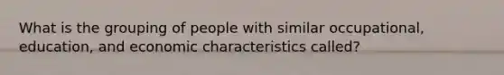 What is the grouping of people with similar occupational, education, and economic characteristics called?