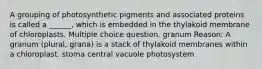 A grouping of photosynthetic pigments and associated proteins is called a ______, which is embedded in the thylakoid membrane of chloroplasts. Multiple choice question. granum Reason: A granum (plural, grana) is a stack of thylakoid membranes within a chloroplast. stoma central vacuole photosystem