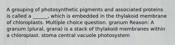 A grouping of photosynthetic pigments and associated proteins is called a ______, which is embedded in the thylakoid membrane of chloroplasts. Multiple choice question. granum Reason: A granum (plural, grana) is a stack of thylakoid membranes within a chloroplast. stoma central vacuole photosystem